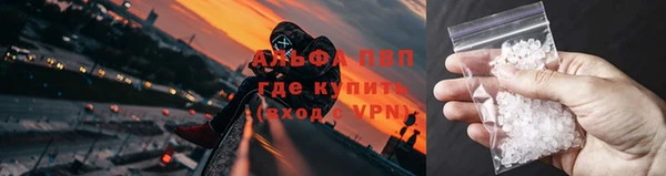 прущая мука Дмитриев
