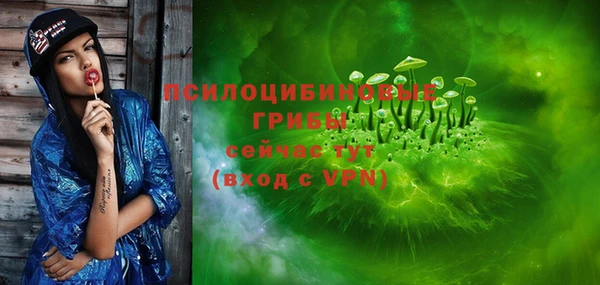 прущая мука Дмитриев