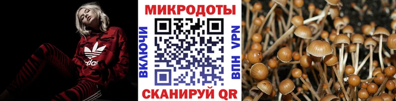 Галлюциногенные грибы ЛСД  Купить где  Полярные Зори 